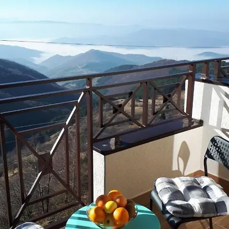 Milmari Joy M17 Kopaonik