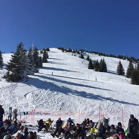 Milmari Joy M17 Apartment