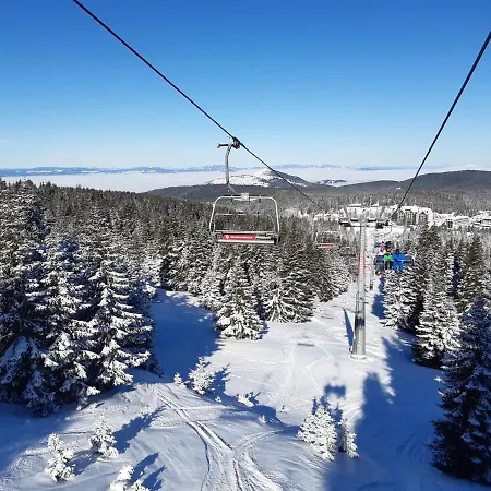 Milmari Joy M17 * Kopaonik