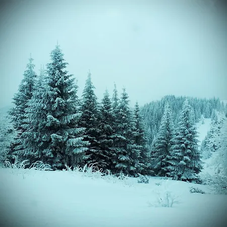 Apartment Milmari Joy M17