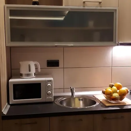 Milmari Joy M17 Apartment Kopaonik